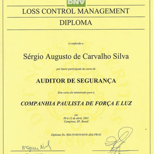 2001-04-DNV-AUDITOR